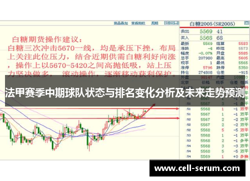 法甲赛季中期球队状态与排名变化分析及未来走势预测