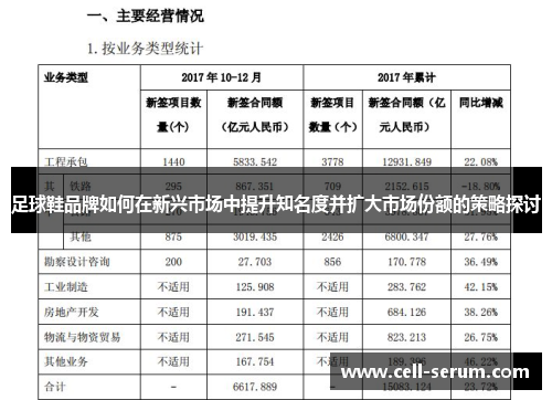足球鞋品牌如何在新兴市场中提升知名度并扩大市场份额的策略探讨