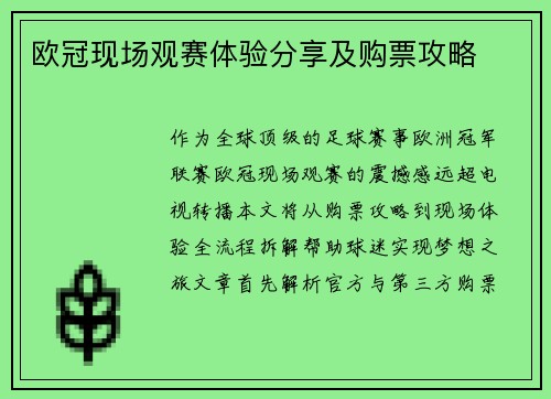 欧冠现场观赛体验分享及购票攻略