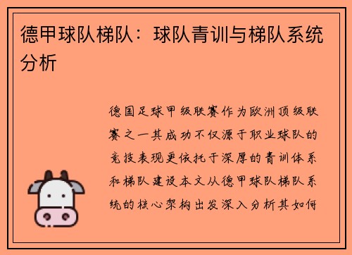 德甲球队梯队：球队青训与梯队系统分析